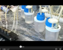 Video of Automatic System