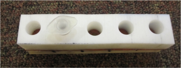 tray3.png