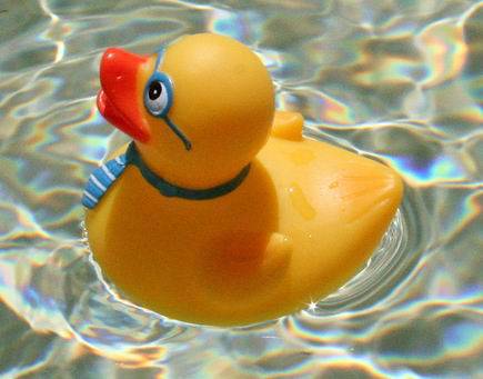 geek_rubber_duck_2.jpg