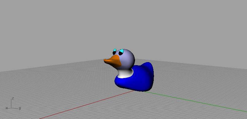duck.jpg
