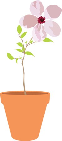 flower.png