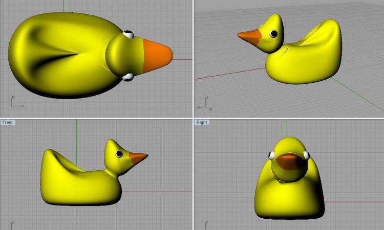 Duck