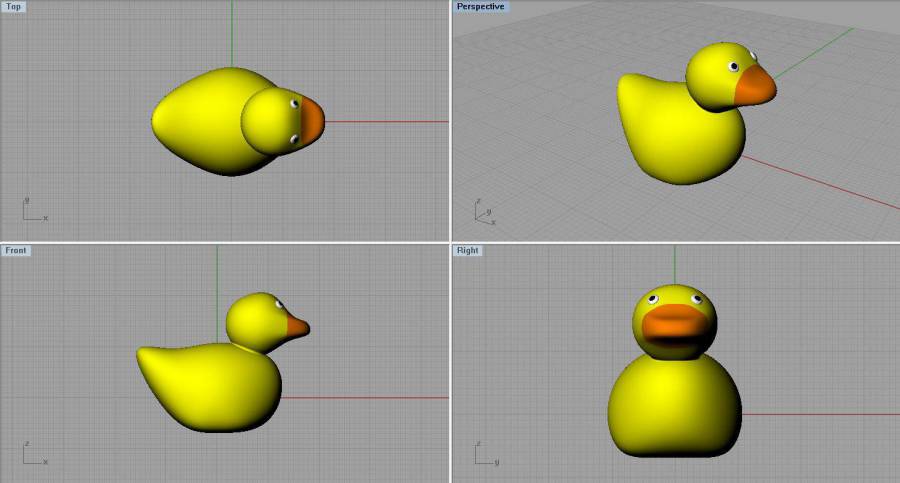 nat_s_ducky.jpg