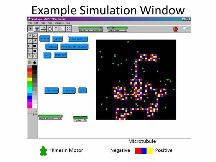 emergent_behavior_simulation.jpg