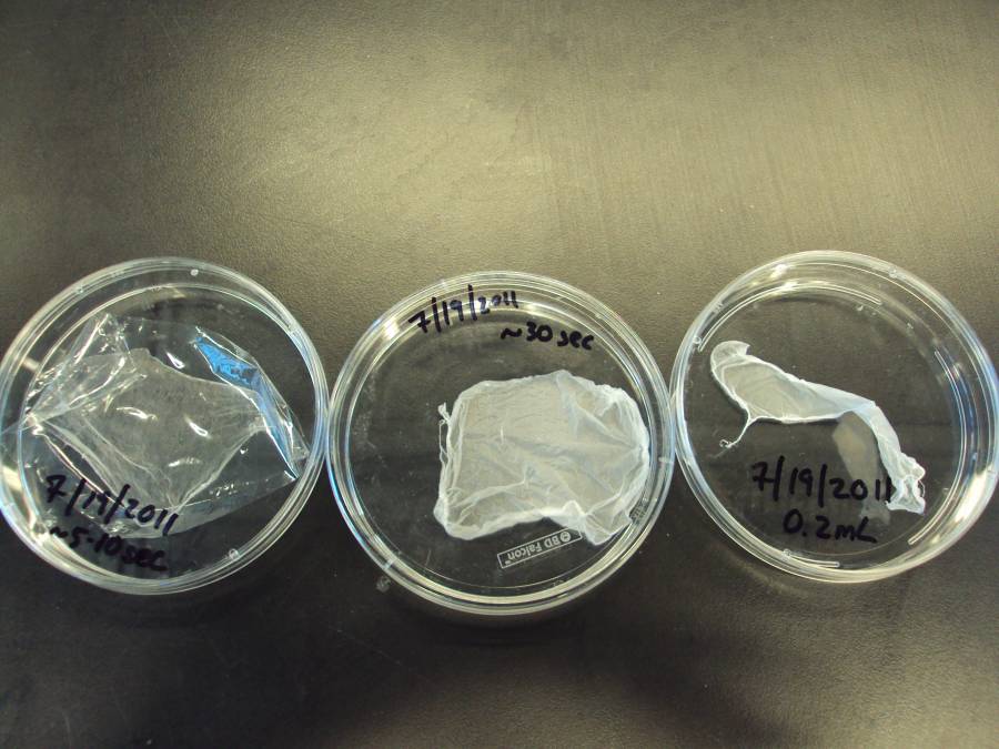 samples1.jpg