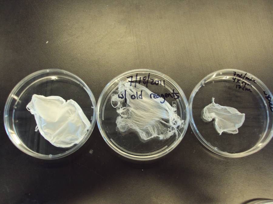 samples2.jpg