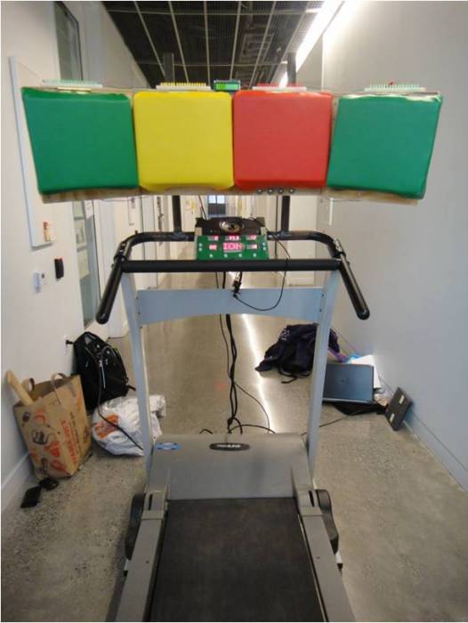 le_hitnfit.jpg