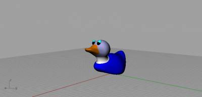 Duck