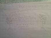 Sketch 8- Individual Expression on Tree