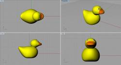Nat's Ducky
